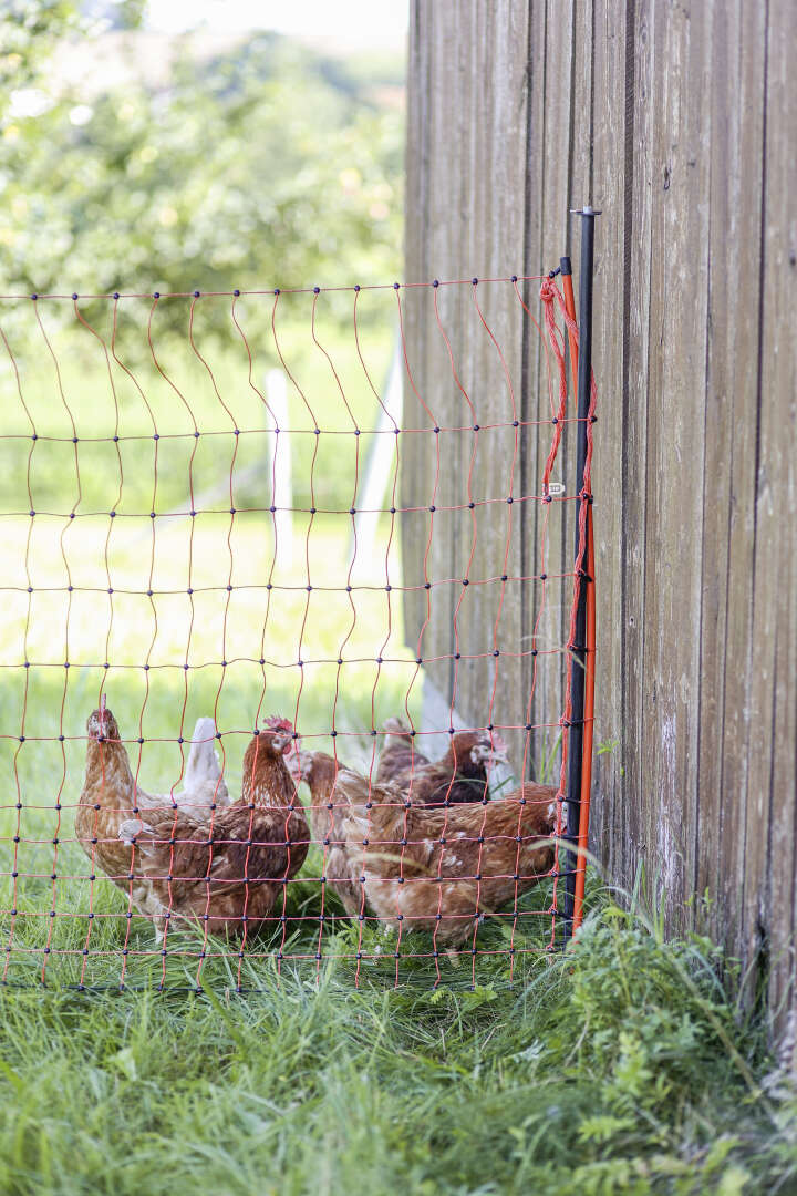 AKO Unterstützungspfahl für Weidenetze